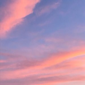 Meet your Posher, Darla